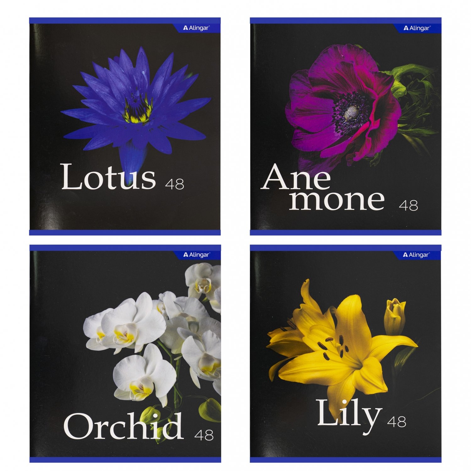 e87da379222b11efabcaa8a15984109f_e87da37a222b11efabcaa8a15984109f